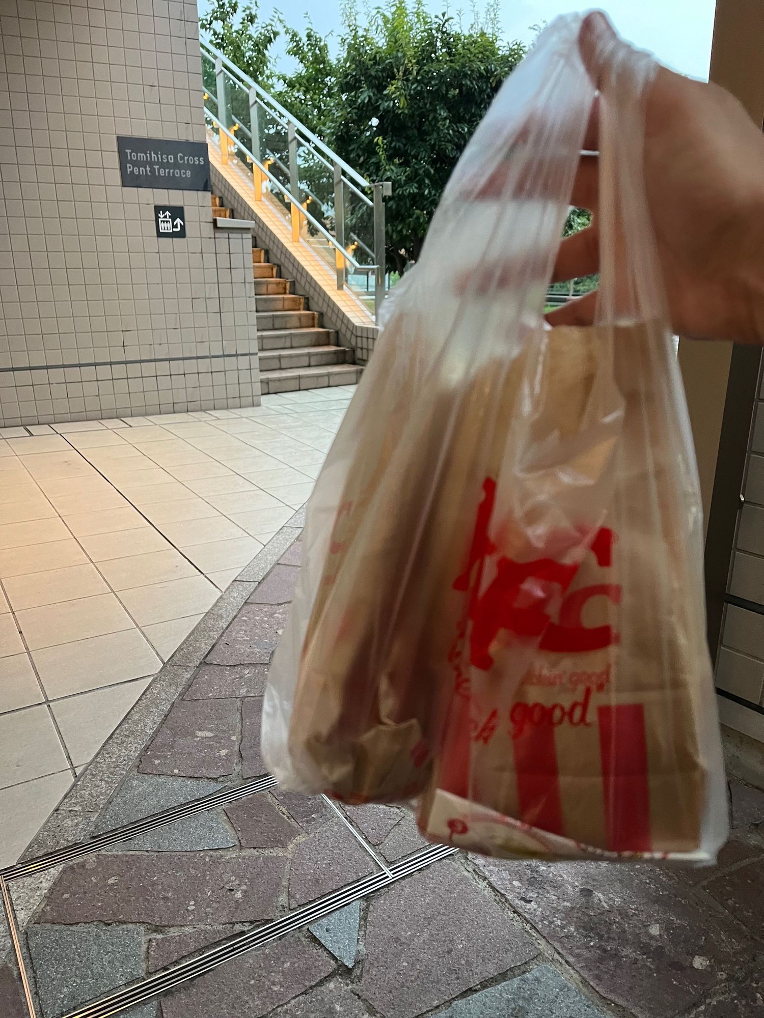 A plastic shopping bag held up in front of concrete stairs and wall.