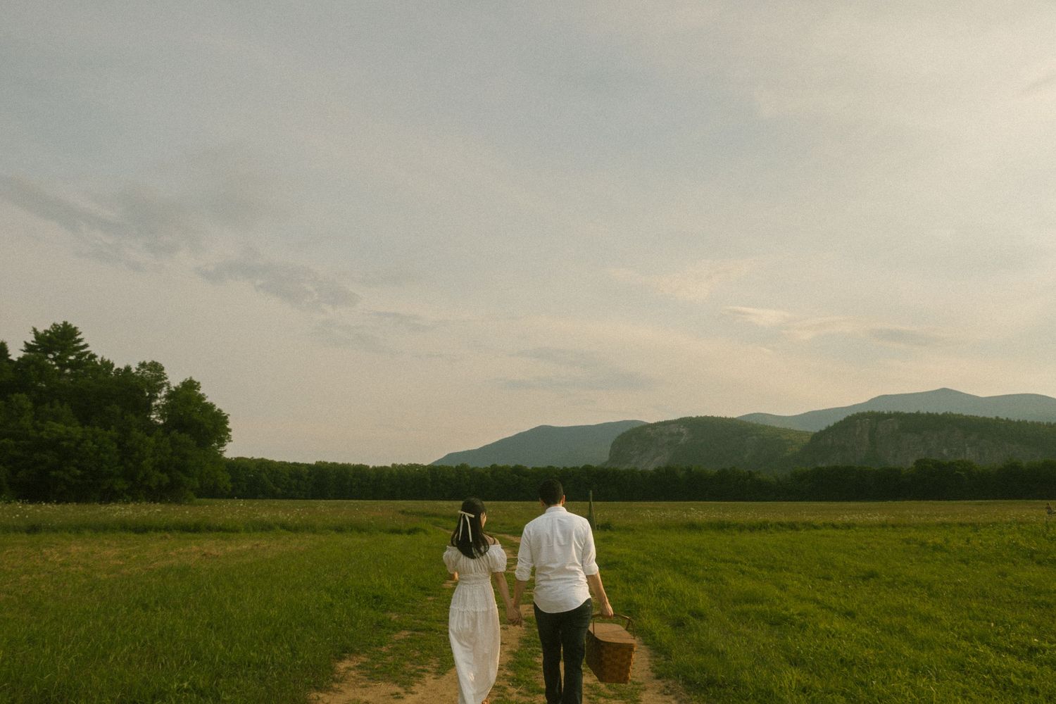 A scenic meadow landscape with mountains in the background at sunset.