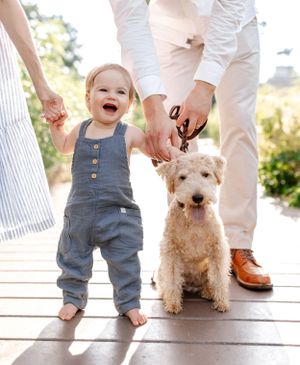 Happy toddler in denim overalls stands with a fluffy white terrier dog on wooden deck.