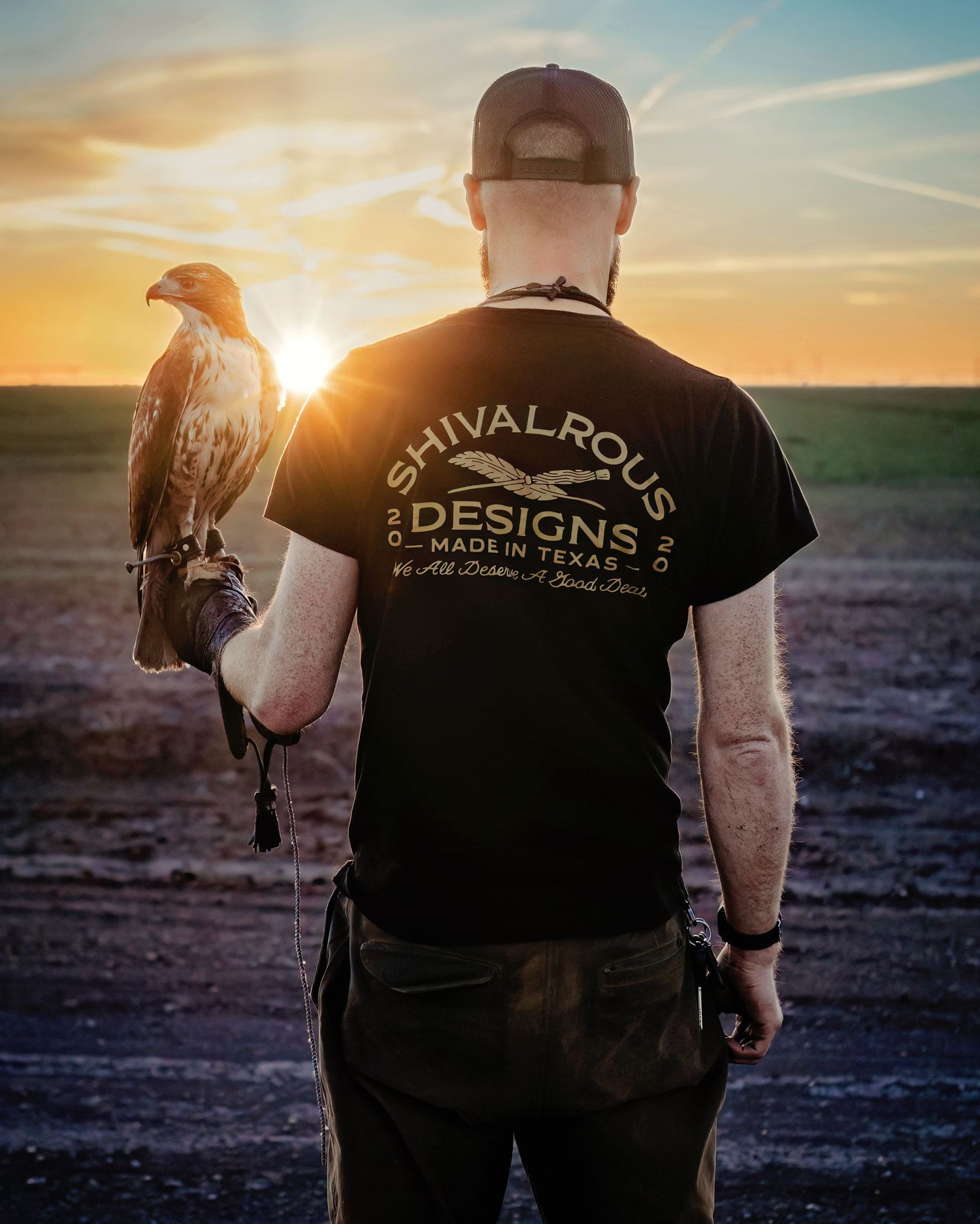 A man in a t-shirt stands silhouetted against a golden sunset with a redtail hawk on his glove during Fort Worth branding photos.