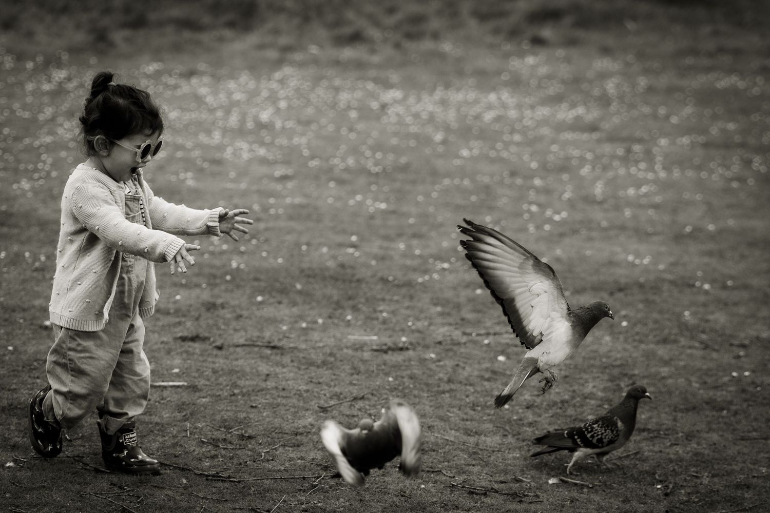 Fun chasing pigeons on a photoshoot with Jane Nicholson Photography