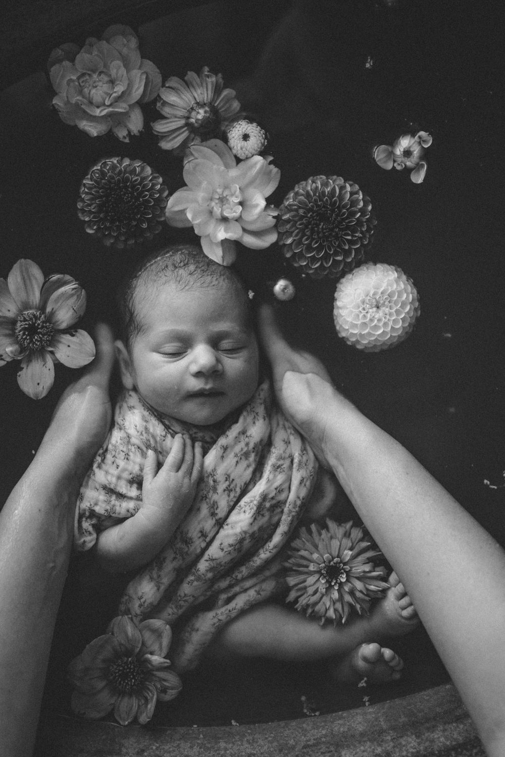 Un nouveau-né endormi dans un bain fleuri entouré de délicates fleurs de roses blanches repose doucement dans les mains.