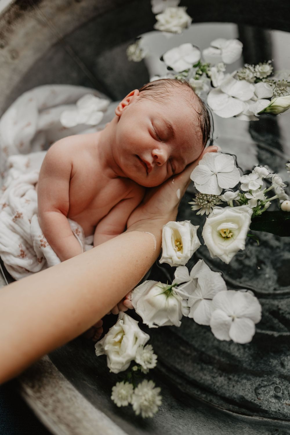 Un nouveau-né endormi dans un bain fleuri entouré de délicates fleurs de roses blanches repose doucement dans les mains.