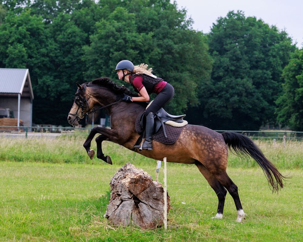 Horse and rider jumping over a natural log obstacle in an outdoor grass arena surrounded by trees.