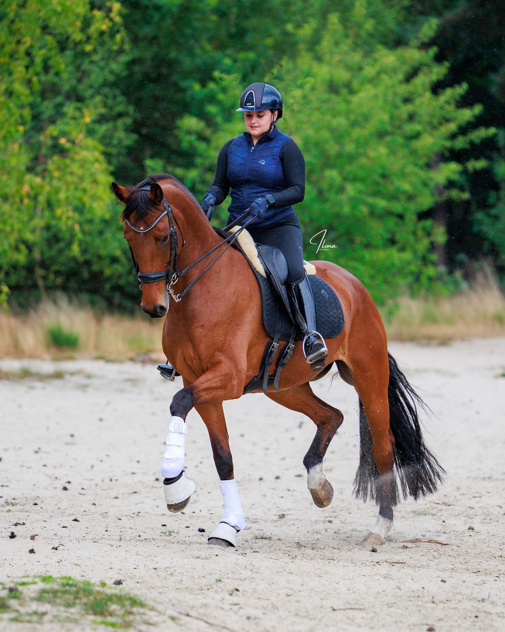 A sequence of equestrian dressage movements showing a bay horse performing flying lead changes in an outdoor arena.