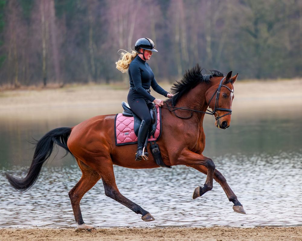A bay horse and rider perform a sliding stop maneuver along a sandy beach next to a lake.