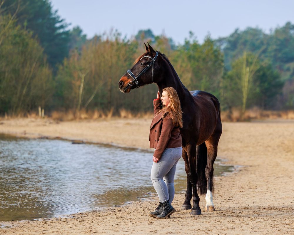 A series of panoramic shots showing a person walking with a dark brown horse along a sandy beach shoreline.