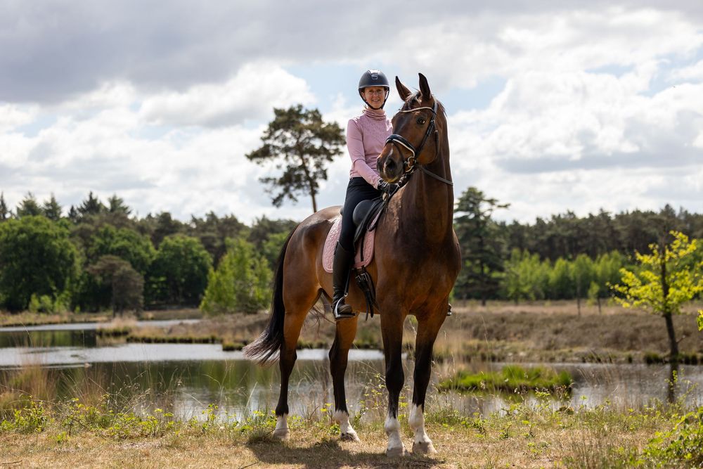 A rider sits atop a brown horse near a serene lake with trees and cloudy skies in the background.