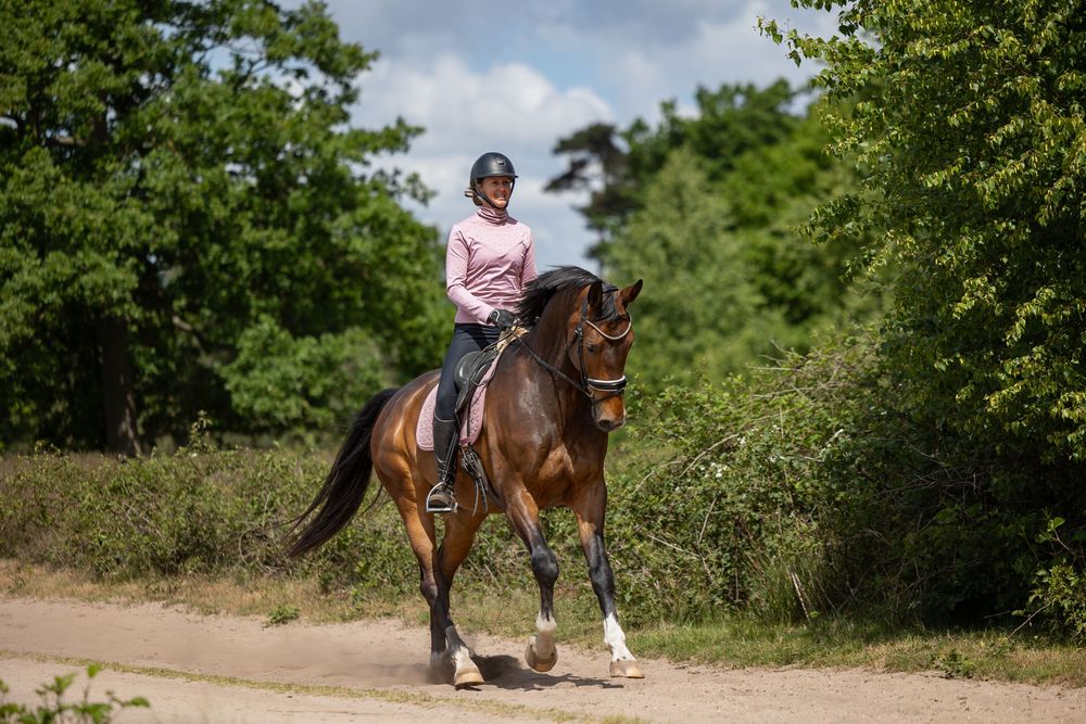 A rider on a bay horse trots along a sunny dirt trail bordered by lush green foliage.