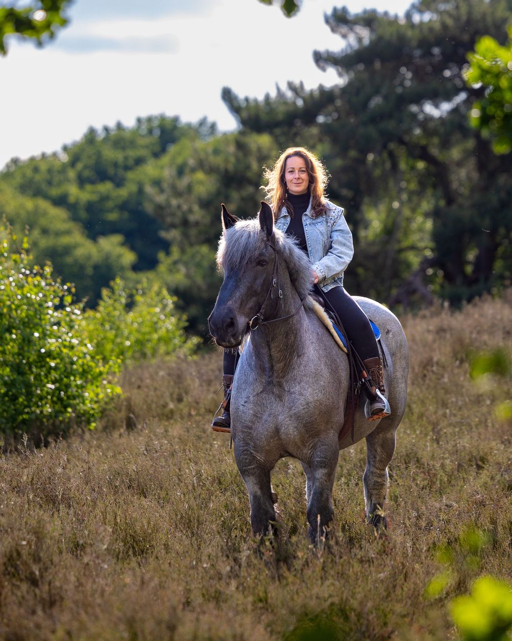 A joyful rider on a dappled grey horse gallops through a scenic meadow surrounded by green trees and brush.