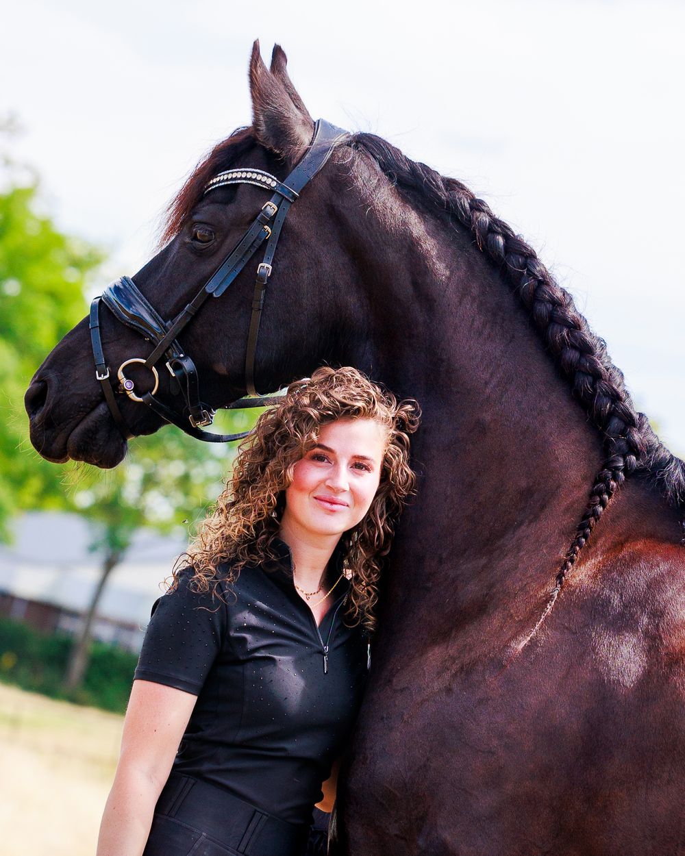 A beautiful dark brown horse with a braided mane stands next to someone wearing black against a green background.