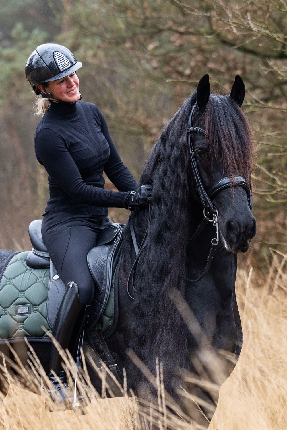 fries paard
