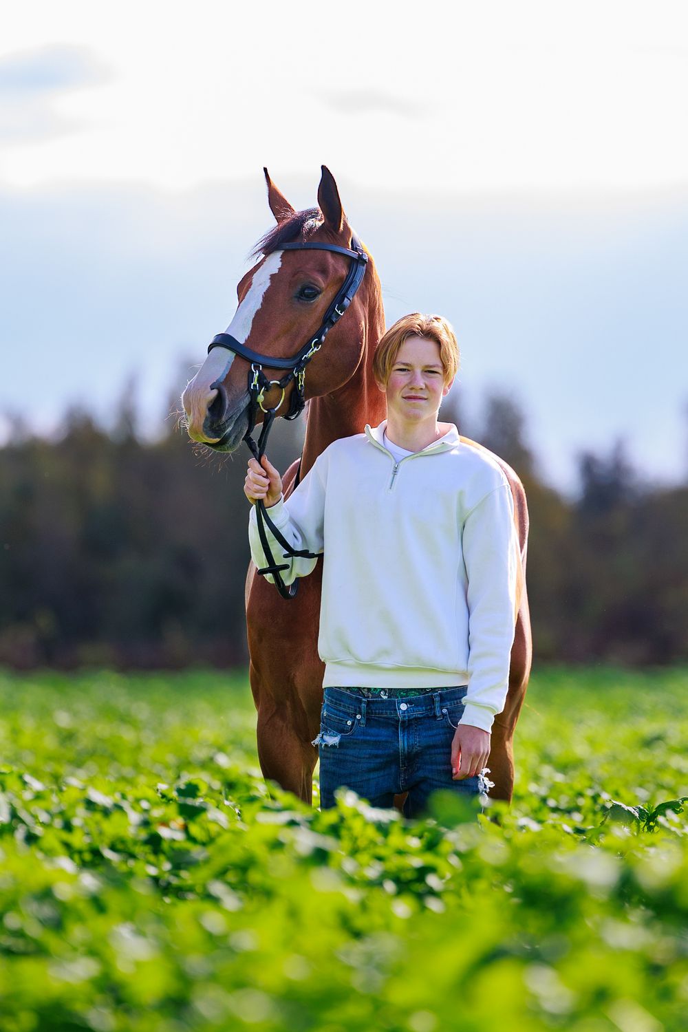 A bay horse and person in a white sweater stand together in a green field on a sunny day.