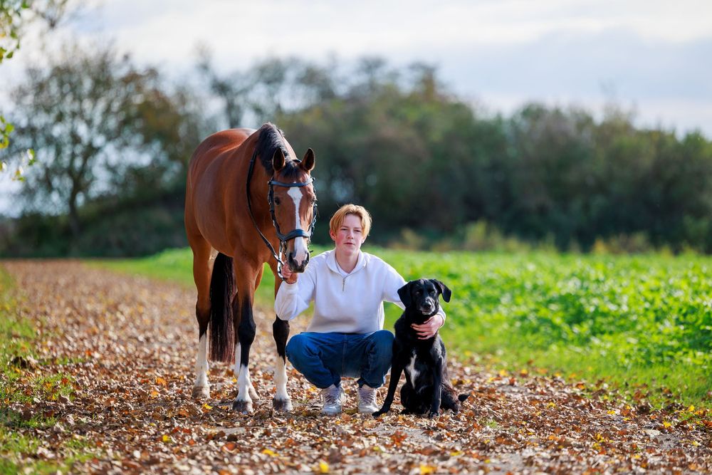 A person sits in a grassy field with a brown horse and black dog on a sunny autumn day.