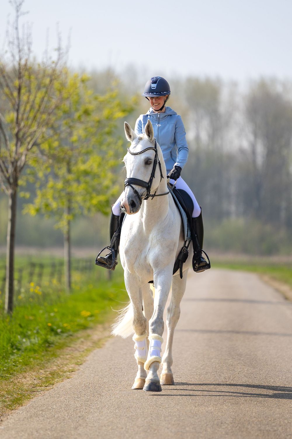 A rider in blue attire and safety helmet sits atop a white horse on a peaceful path lined with spring trees.