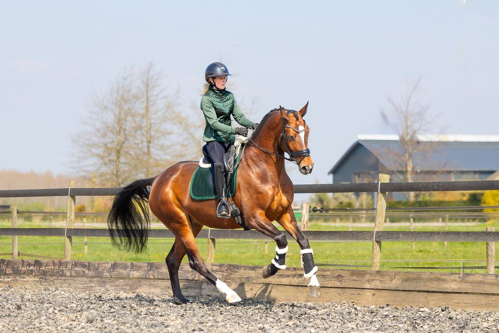 A rider in a green jacket guides their chestnut horse over a pole in a sand arena during training.