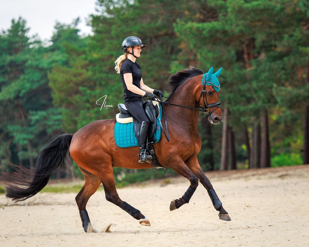A sequence of equestrian photos showing a bay horse and rider performing dressage movements in a sandy arena.