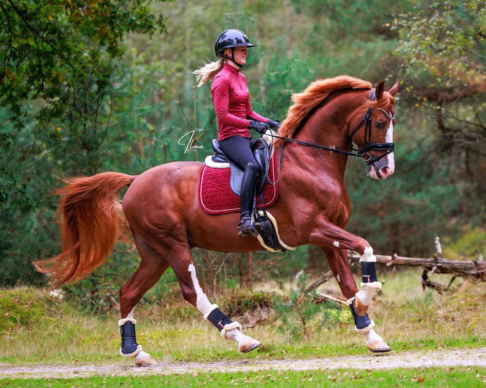 A chestnut horse and rider perform a sequence of extended trot movements in an outdoor setting.