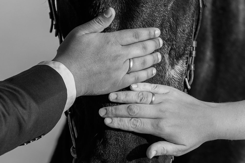 A series of black and white photos showing hands covering faces in an artistic composition.