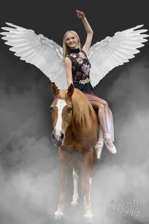 A white-winged horse and rider emerge through atmospheric fog against a dark backdrop.