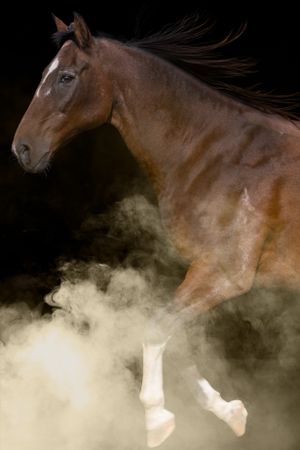 A majestic brown horse gallops through swirling dust clouds against a dark background, its mane flowing in the wind.
