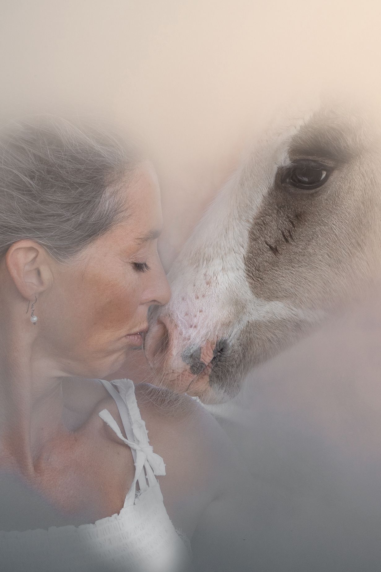 A sequence of ethereal portraits showing a person and horse coming closer together in a misty, dreamlike atmosphere.