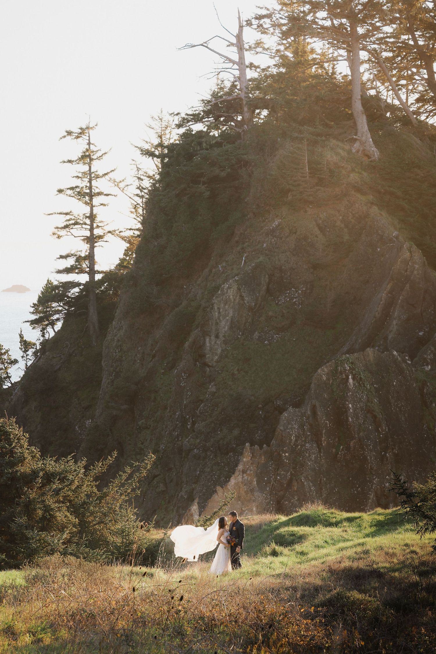 An outdoor wedding ceremony scene with flowing white dress and scattered petals on grass.