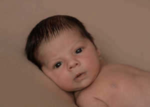 Newborn awake and wide eyed during newborn session in Ceredigion