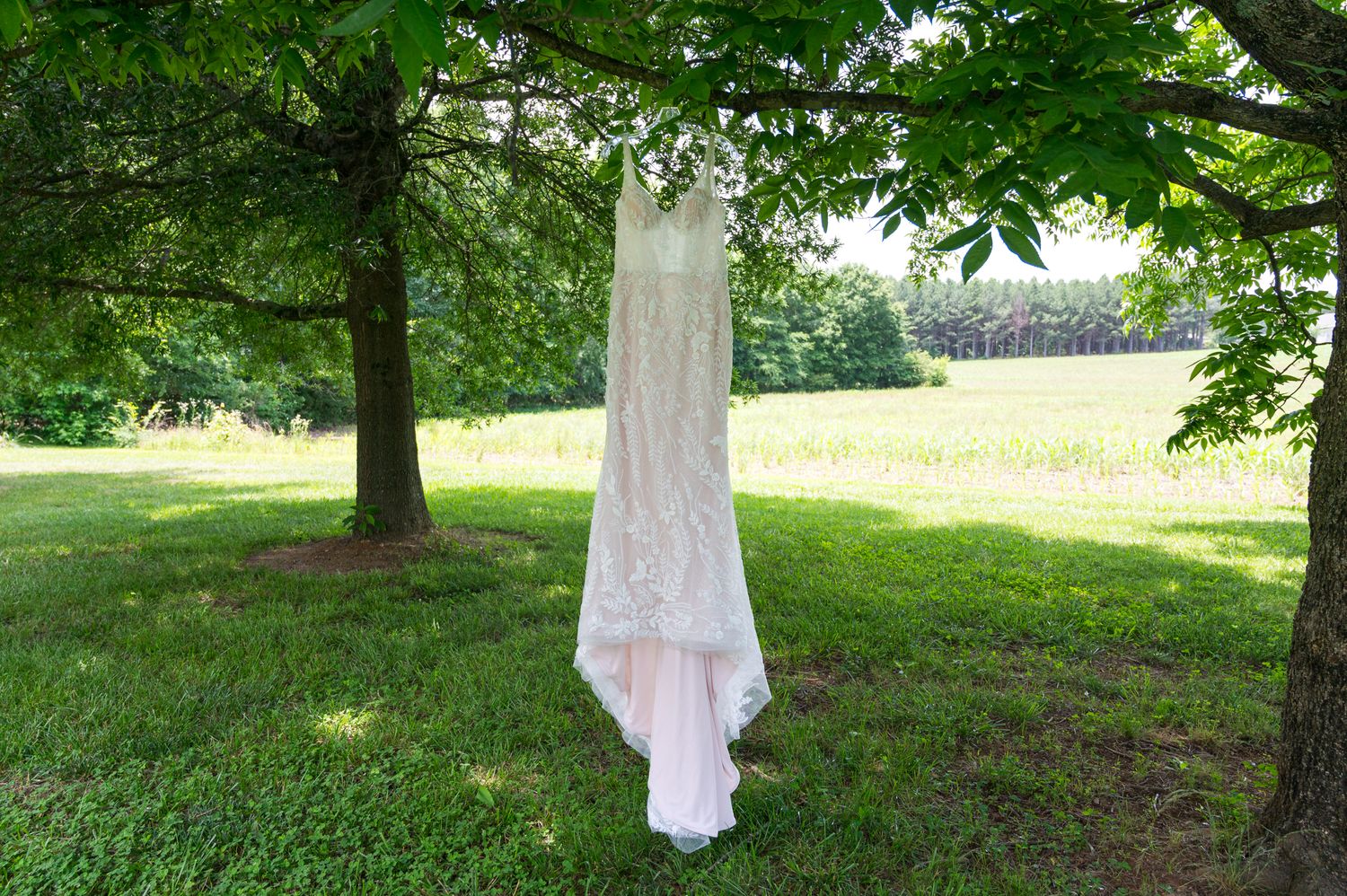 White wedding dress hanging elegantly from tree branch in garden setting.