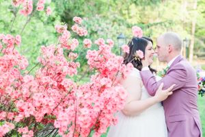 Wedding couple shares intimate moment among blooming pink azalea bushes.
