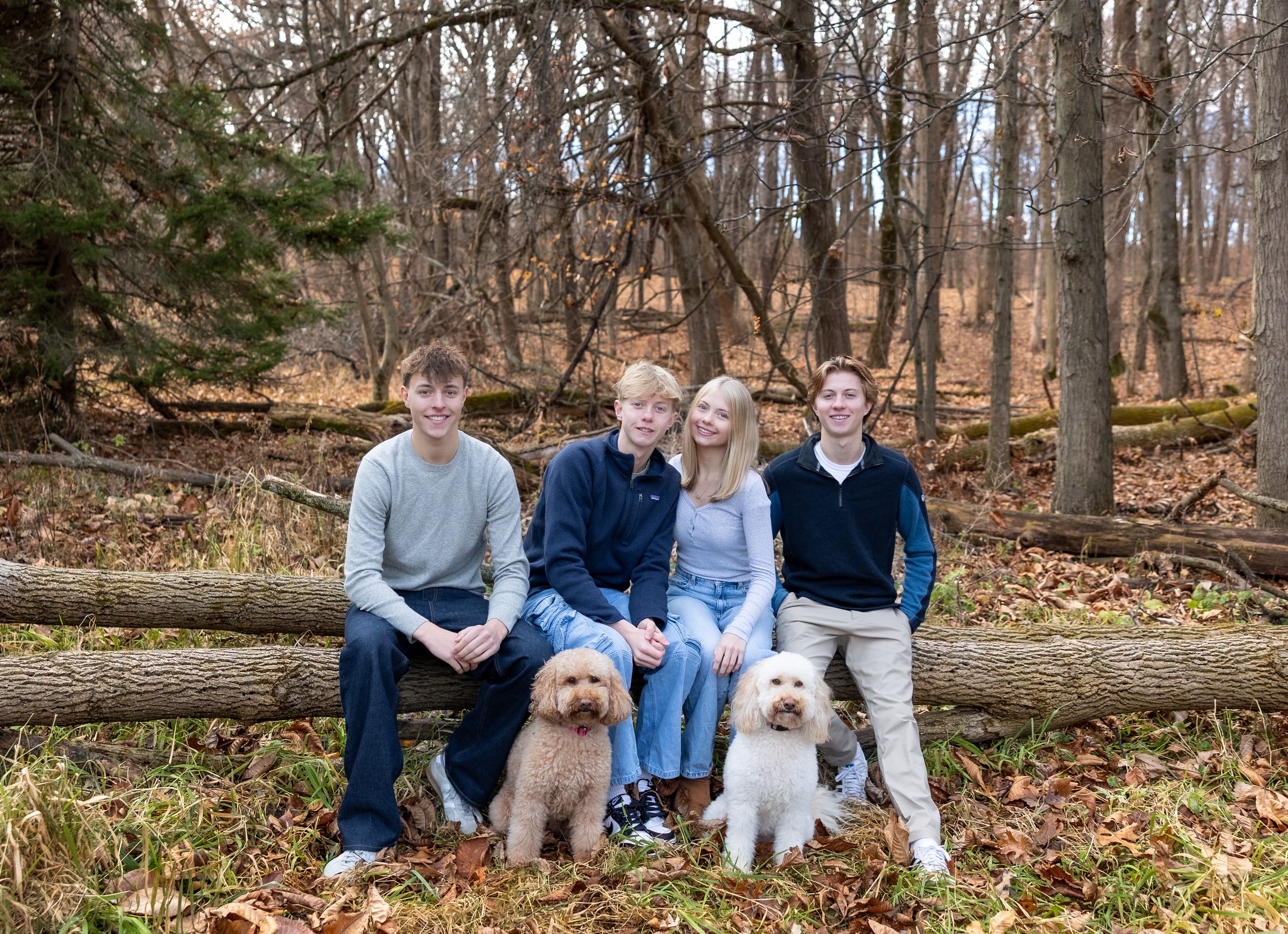 A group sits on a fallen log in an autumn forest with two fluffy white dogs.