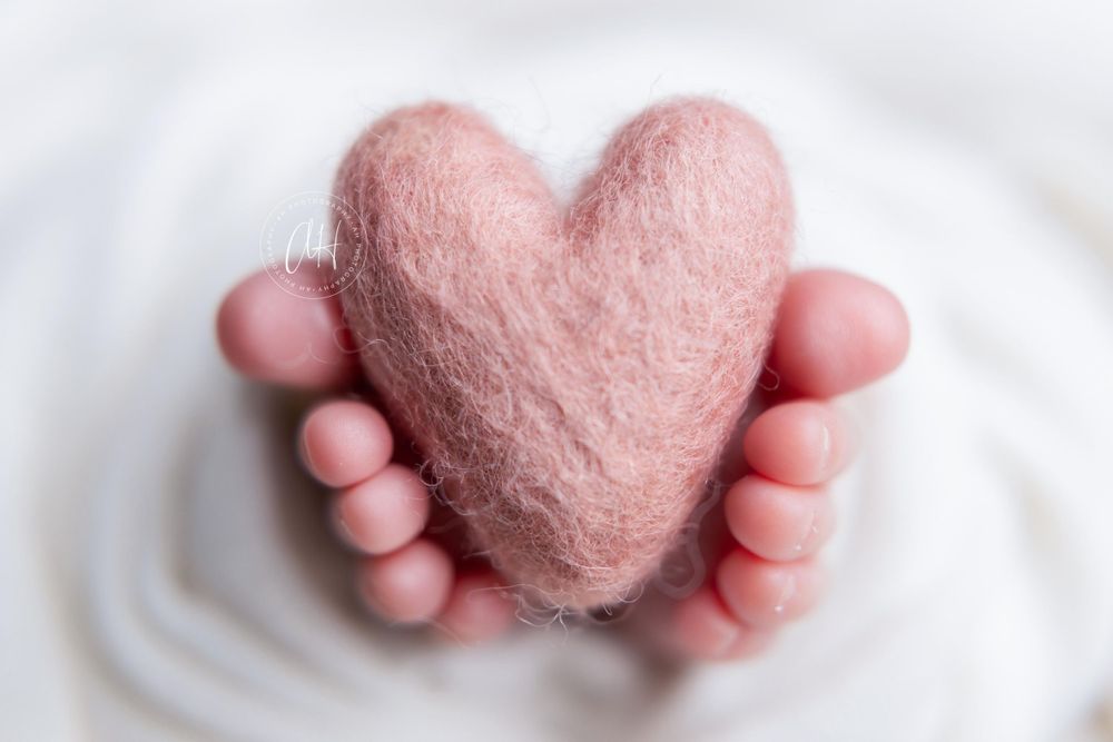 Miami newborn photographer