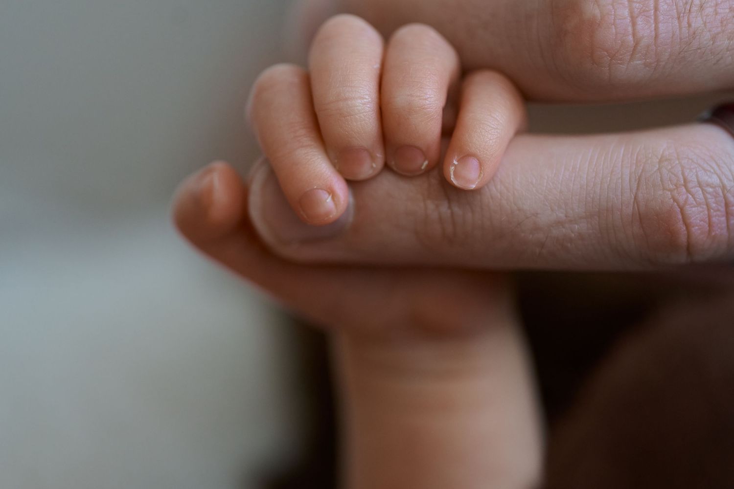 Close-up of a newborn baby's tiny hand gently gripping an adult's finger, symbolizing love and new life.