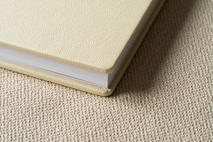 Cream-colored leather book or journal lying on textured beige carpet showing binding detail.