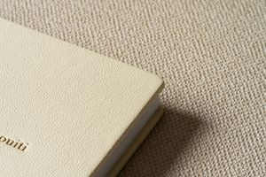 Cream colored book with textured cover resting on neutral beige carpeted surface.