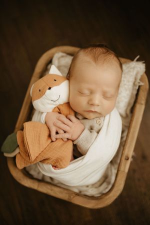 Peaceful newborn sleeping in woven basket with plush toy companion.