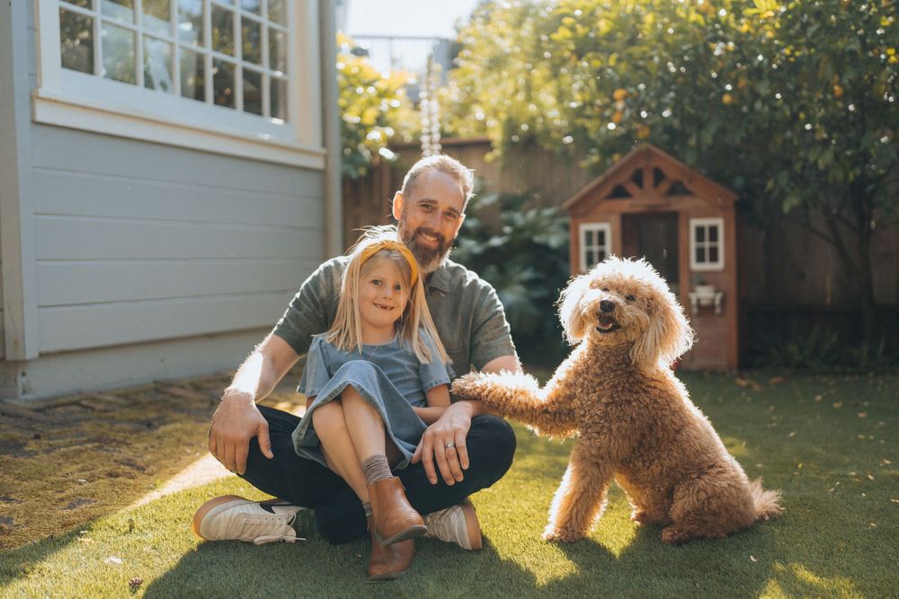 Father and young daughter sitting on grass with fluffy golden doodle dog in backyard.