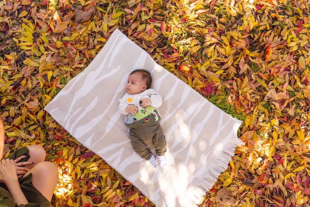 Newborn baby lying on a white blanket surrounded by vibrant fallen autumn leaves outdoors.