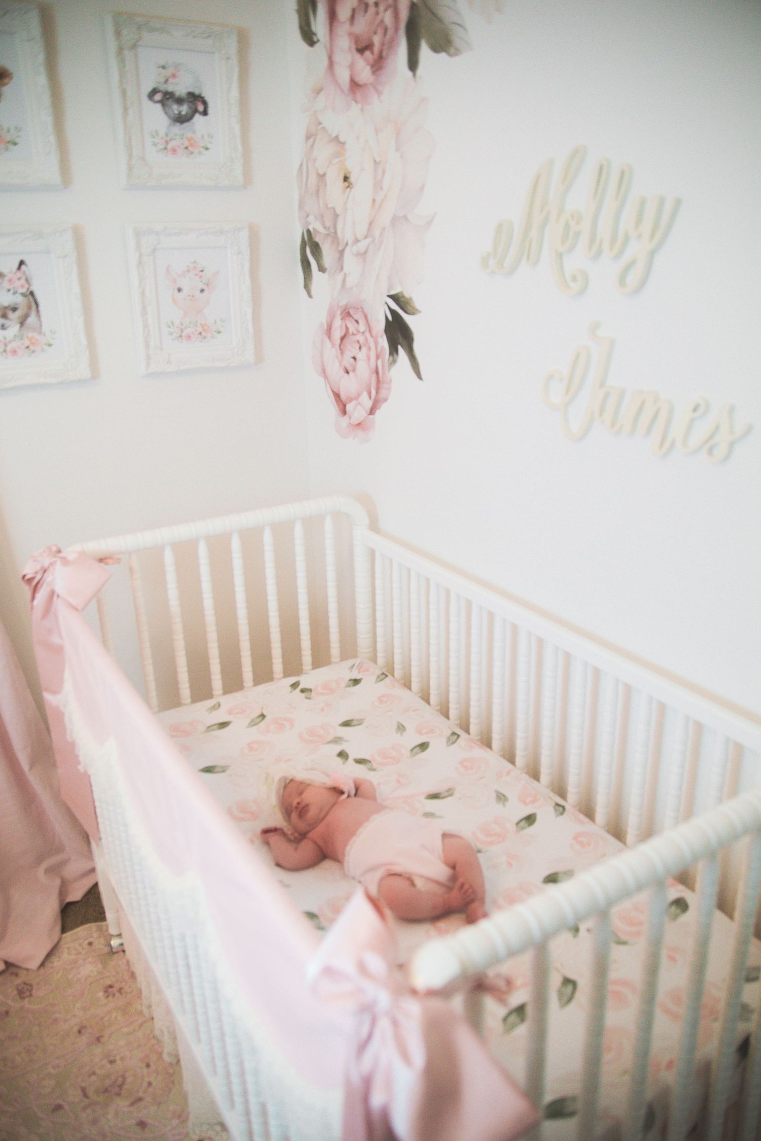 Newborn photographer highlands North Carolina cashiers North Carolina