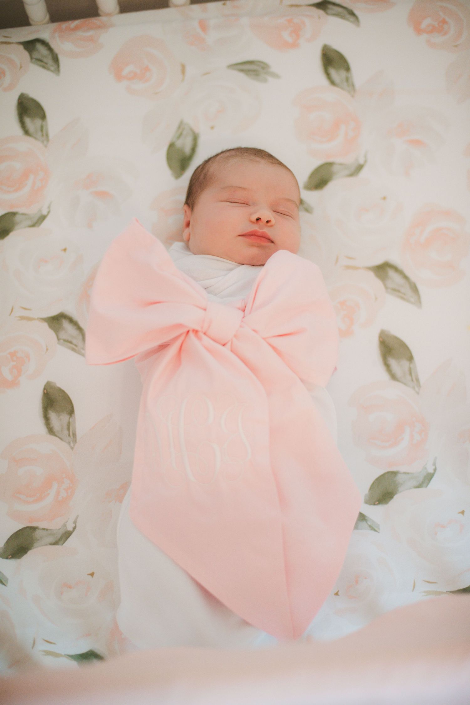 Newborn photographer highlands North Carolina cashiers North Carolina