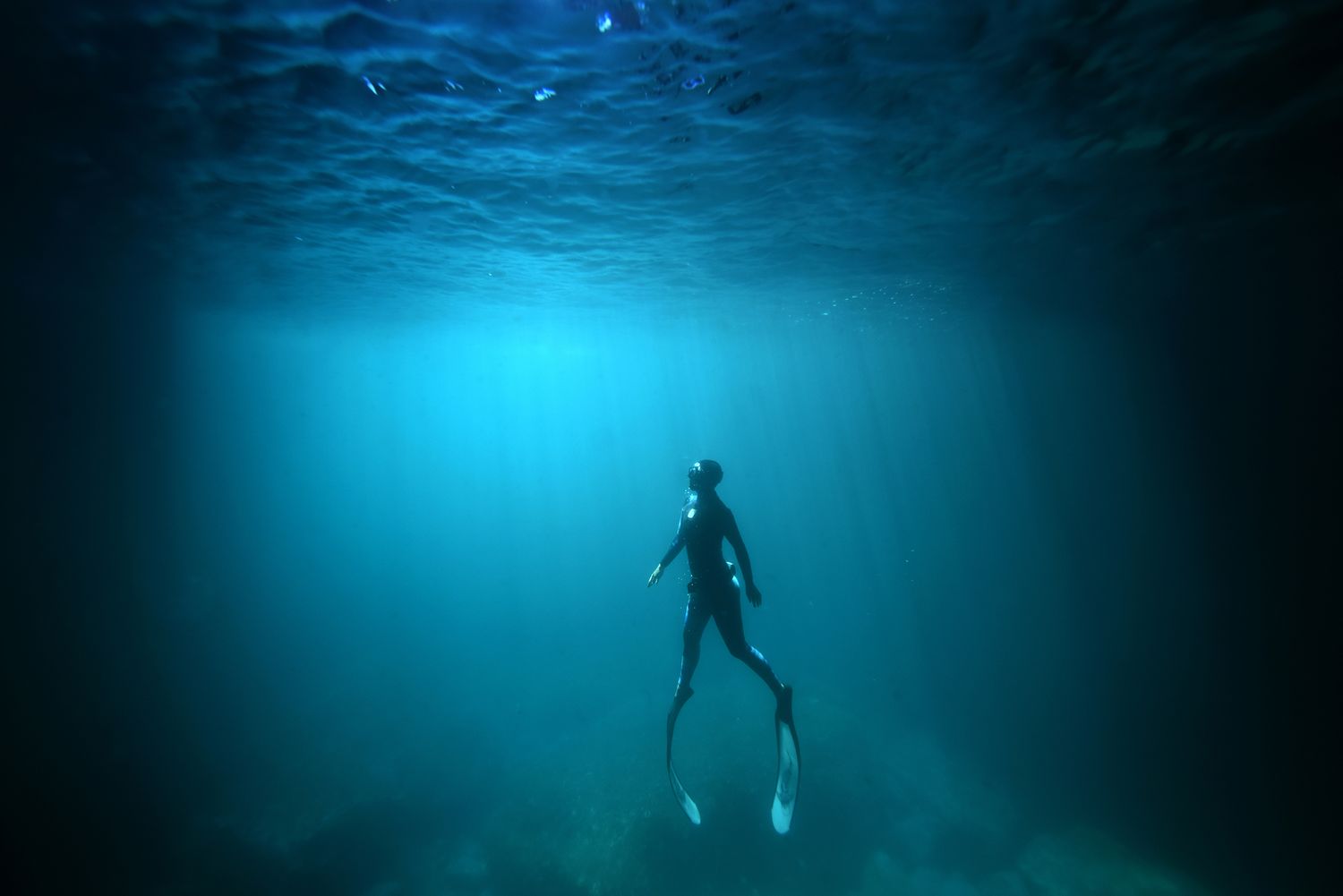 Ethereal underwater portraits that capture weightless beauty, raw emotion, and the fluid artistry of life beneath the surface.