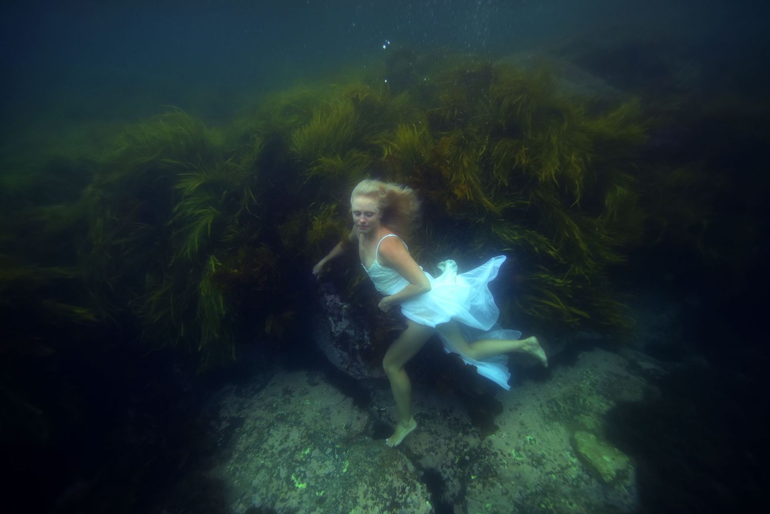Ethereal underwater portraits that capture weightless beauty, raw emotion, and the fluid artistry of life beneath the surface.