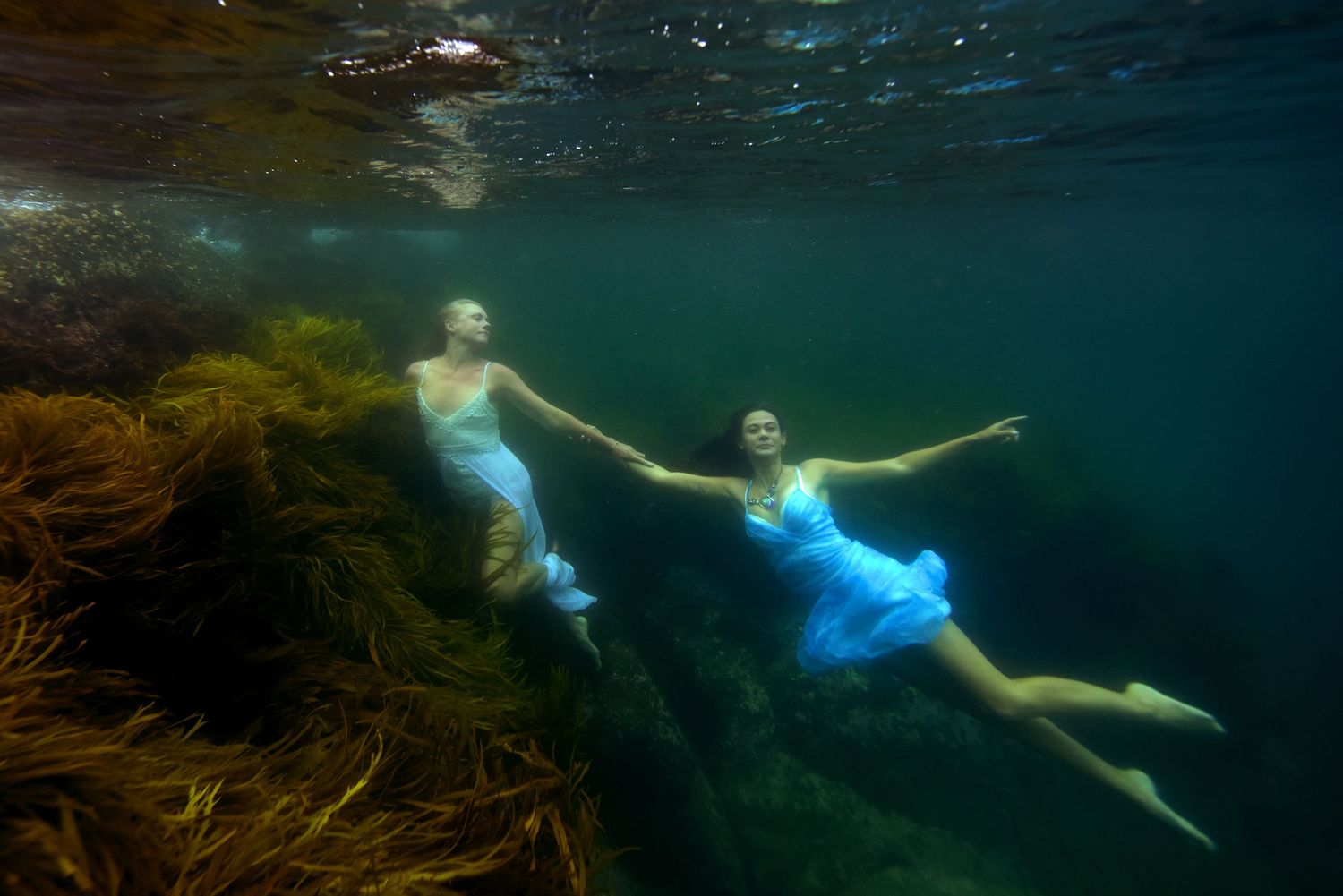 Ethereal underwater portraits that capture weightless beauty, raw emotion, and the fluid artistry of life beneath the surface.