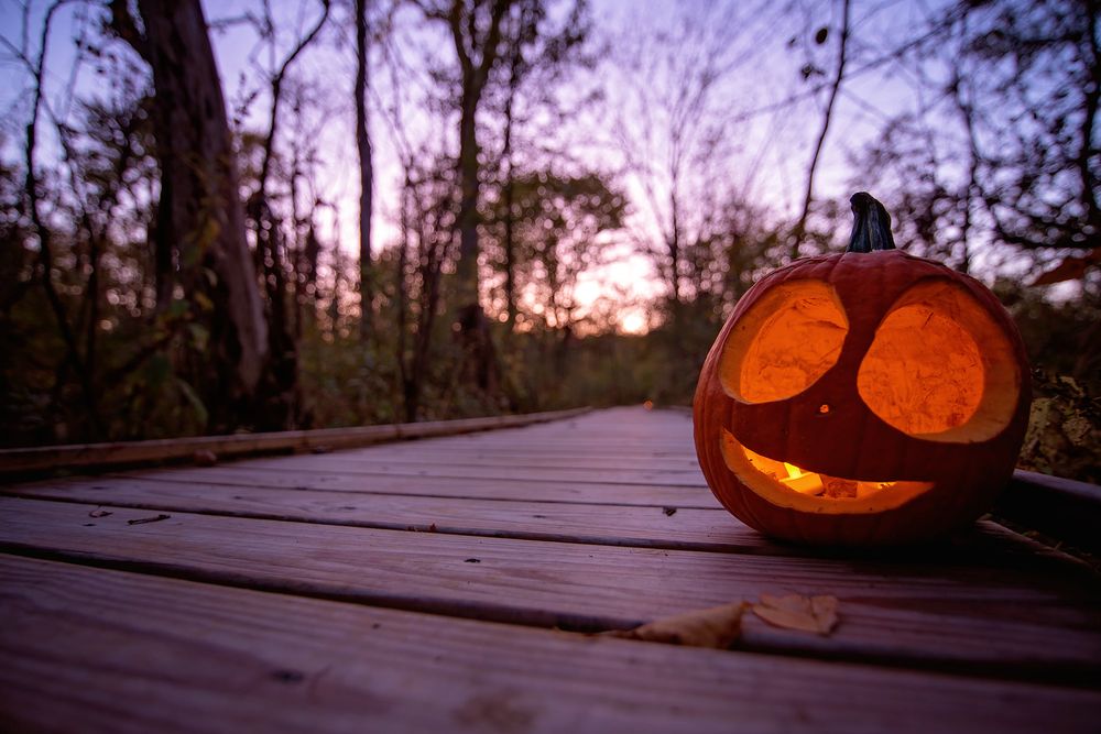 Carved pumpkins glowing at dusk on wooden deck during Halloween season.
