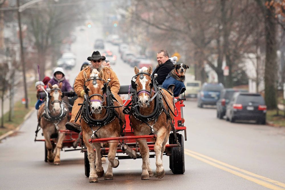 Horse-drawn carriage rides through city streets during winter festivities.