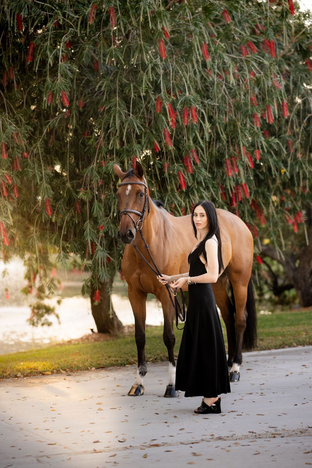 Elegant woman in black dress leading a bay horse under a red bottlebrush tree outdoors.