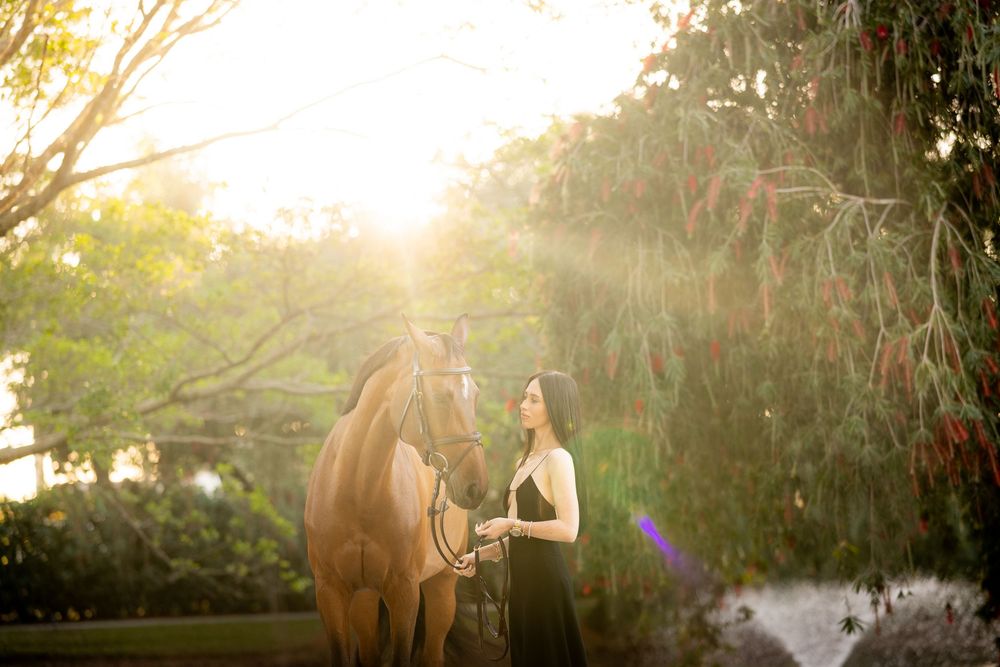 A woman in a black dress stands with a chestnut horse in golden sunlight surrounded by lush green trees.