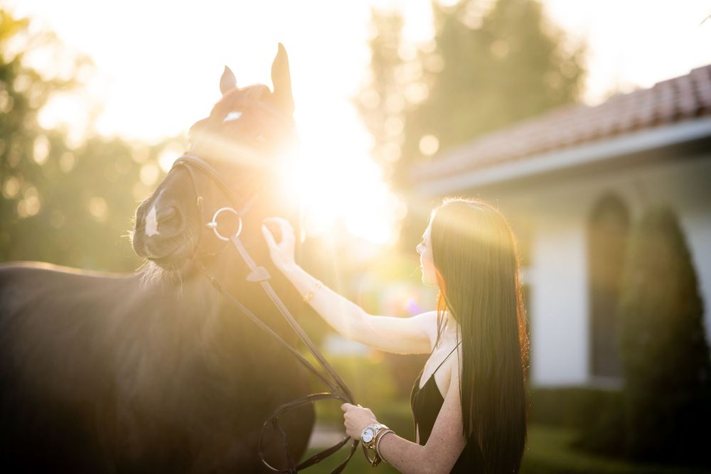 Woman gently touching a dark horse's face in golden sunset light outdoors.