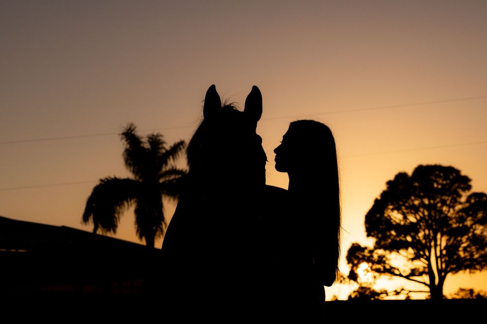 Silhouette of a woman and horse at sunset with palm trees in the background.