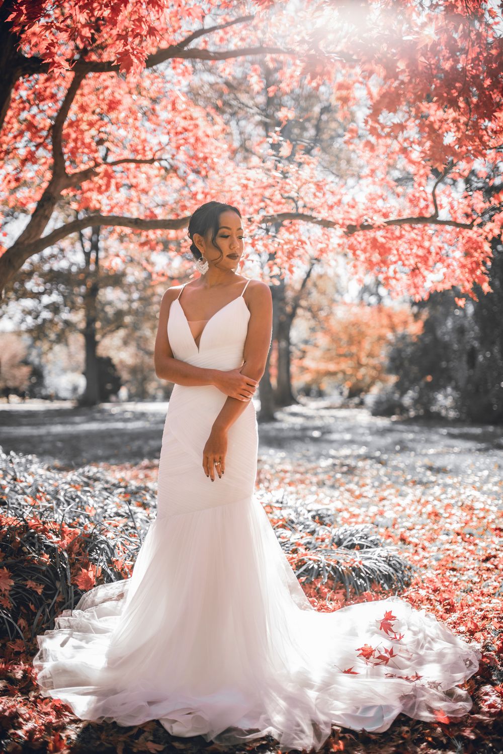www.nestofuentes.com
Book Today! For your Photography needs!